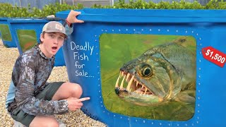 I Bought the World’s SCARIEST Aquarium Fish!