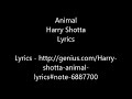 Animal - Harry Shotta Lyrics 