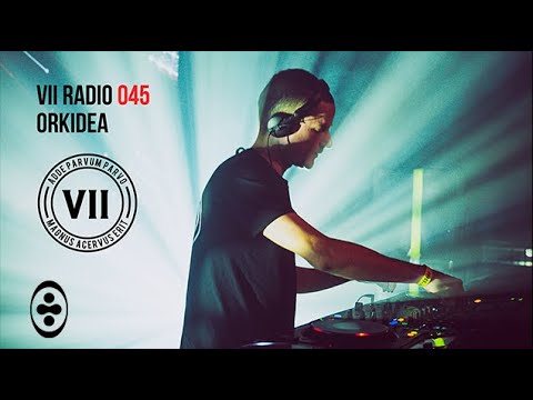 VII RADIO 045 - Orkidea