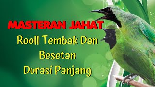 Download lagu MASTERAN CUCAK IJO ROLL TEMBAK DAN BESETAN DURASI PANJANG mp3 Download lagu MASTERAN CUCAK IJO ROLL TEMBAK DAN BESETAN DURASI PANJANG mp3
