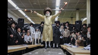 'אם על המלך טוב ' - שמחת פורים עם ר' מיילך במירון