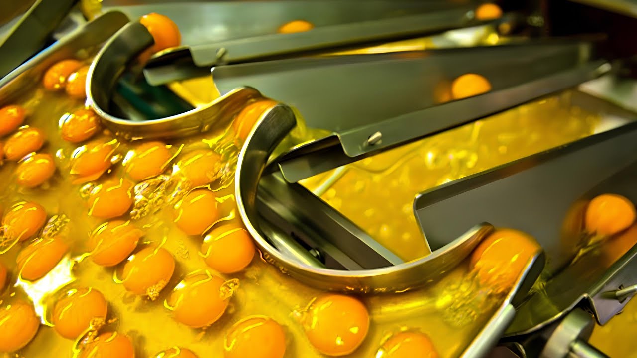 جولة داخل مصانع المواد الغذائيه