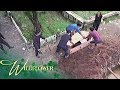 Wildflower The Ardientes Lock Ivy Inside A Coffin To Bury Her Alive EP 162
