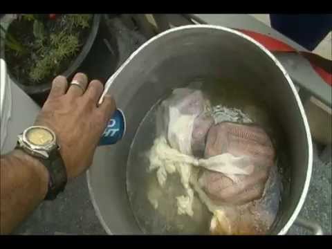 new england style clamboil