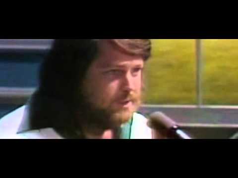 Good Vibrations - Brian Wilson