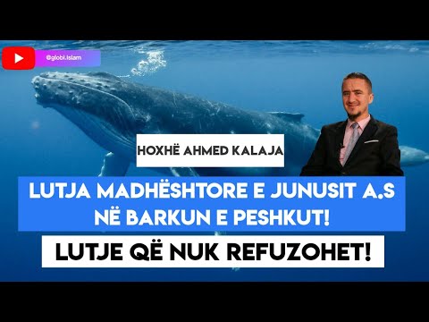 Lutja madhështore e Junusit a.s në barkun e peshkut! Lutja që nuk refuzohet! - Hoxhë Ahmed Kalaja