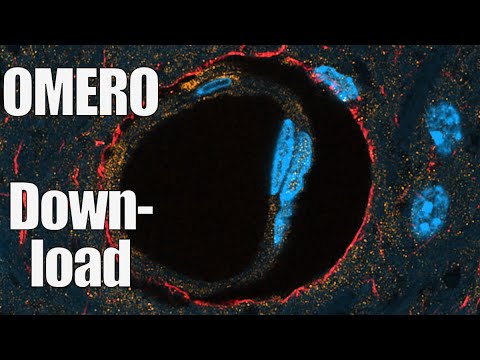 Omero Download