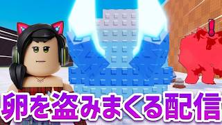 何も知らない卵を盗みまくるゲームで何が人気なのか探っていこう配信！！！！🐱【視聴者参加型】【ロブロックス】【Roblox】