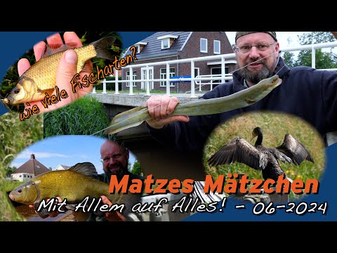 Matze Koch: Mit Allem auf Alles! - Matzes Mätzchen 06-2024