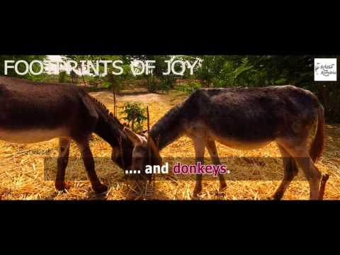 CERNAVODA -  A city with a millenary history