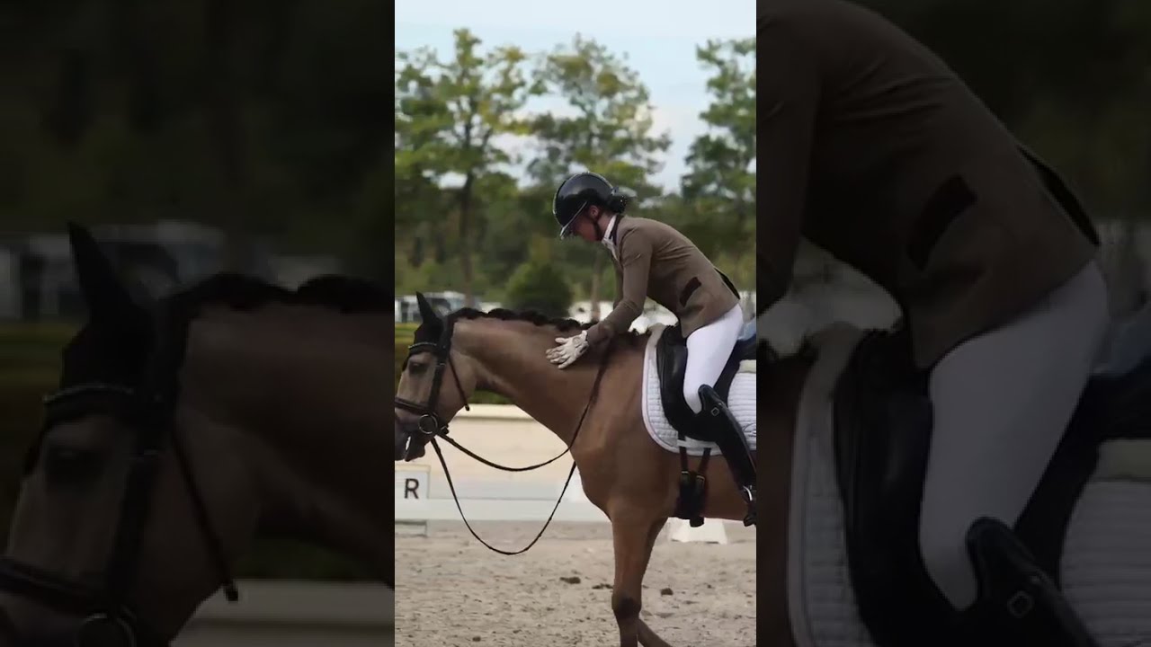 Castenrayseweg Champagnero WNE video 2