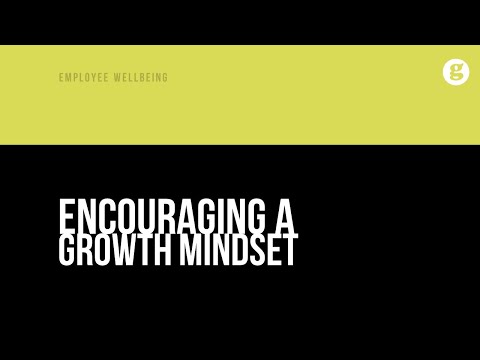 Encouraging a Growth Mindset