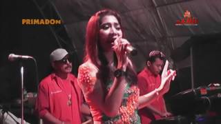 Download lagu PRIMADONA - PERTEMUAN   Ayu Fanora mp3