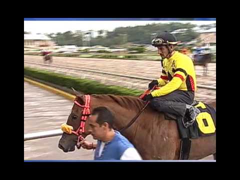 Carrera 8 Domingo 26 de Junio de 2016 | Futurity Garañones 2016