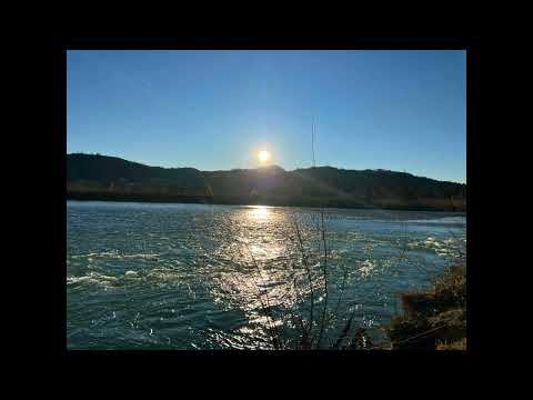 Meitschi vom Wyssebüehl (Polo Hofer) - Cover der Grufties - Rüti bei Büren