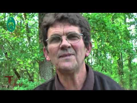 comment construire une garenne a lapin