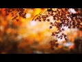 Autumn leaves - Nat King Cole/Eva Cassidy ...