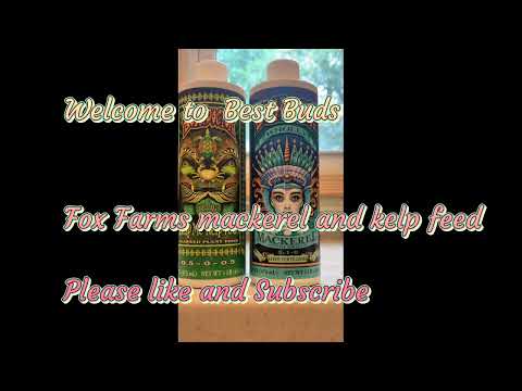 Pipe Dreams presents: Best Buds: Feeding Cannabis with Fox Farms Mackerel and Kelp supplements