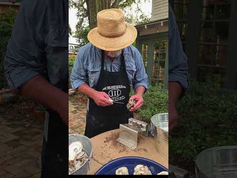 The Oyster Sled 공식 영상 미리보기