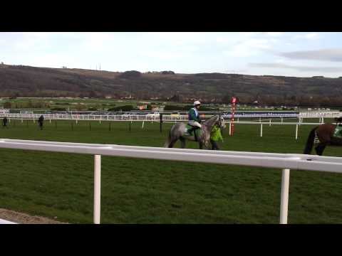 pre parade for the international hurdle at Cheltenham