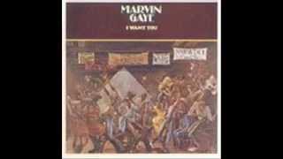 Marvin Gaye - After the Dance (Instrumental)