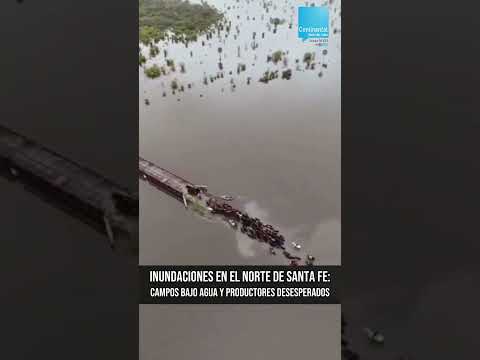 🚨 Inundaciones en Santa Fe: campos bajo agua y productores en alerta