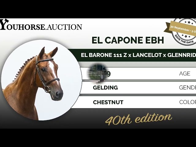 El Capone EBH Z @ the show