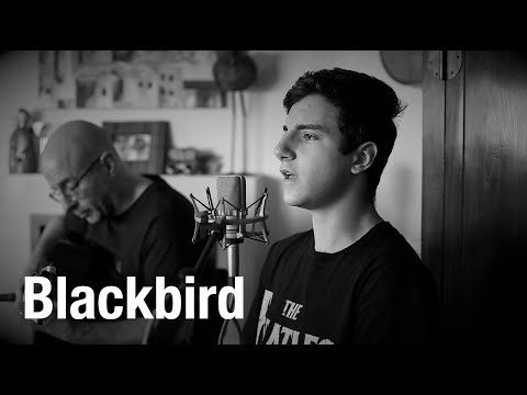 BlackBird - The Beatles - cover Duarte Valença