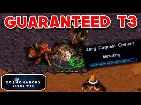 He got to tier 3 from THIS? | The Shambler vs Hamster | CMBW