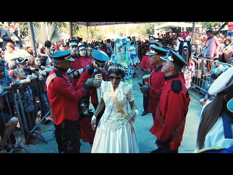Tradição, fé e alegria: grupos de cidades da Região Serrana celebram Folia de Reis em Nova Friburgo 