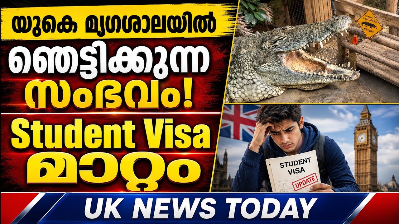 UK മലയാളികൾ അറിയേണ്ട 4 വാർത്തകൾ | Student Visa മാറ്റം | UK Zoo Incident
