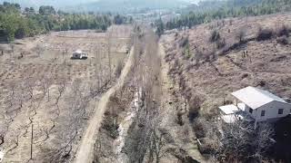 Asar Yaylası Pozantı/Adana