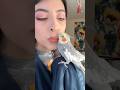 Even The Grumpiest Of Birds Start Singing After A Kiss Bird Parrot Cockatiel
