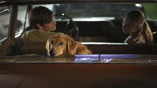 A Dog's Purpose (2017) video