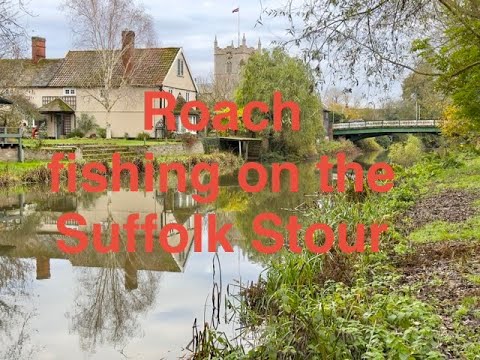 Roach Fishing the Suffolk Stour