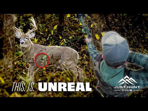 This Is Unreal… | Public Land Bowhunting the Rut