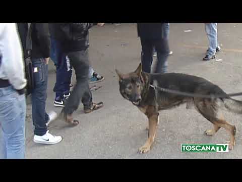 2018-11-27 PRATO - CONTROLLI POLIZIA AL MARCONI, ARRESTATO 19ENNE