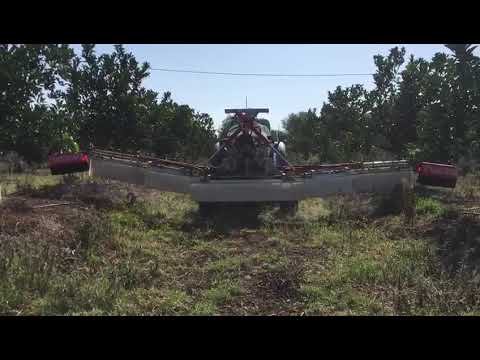 Video 8