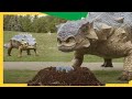 Epic Dino Matchmaking Claw Some Adventures DinoKids Dinosaurs For Kids