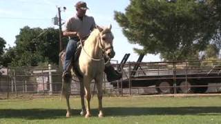 preview picture of video 'Mission A Ranch Wes Brown horse training in Tucson on Palomino gelding pasture video 11-08-09'