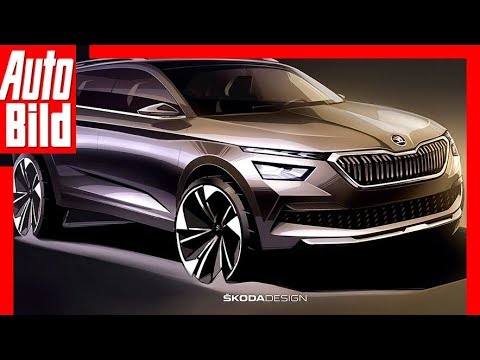 Skoda Kamiq (2019) Details / Explanation