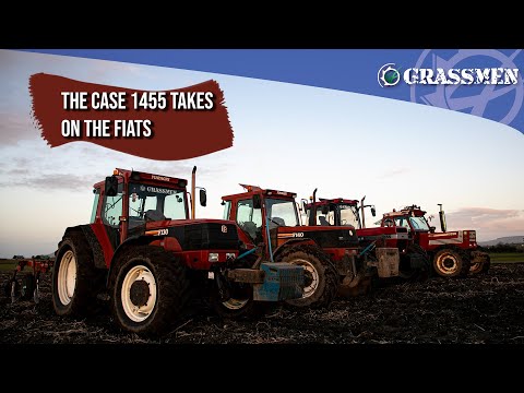 The Case 1455 goes grubbing against the Fiats!