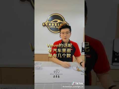 汽车空调Valve就有这3款