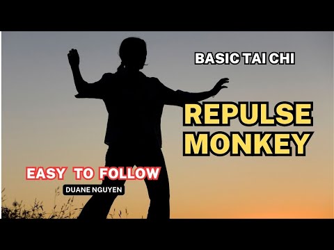 Repulse Monkey - Tai Chi for Beginners