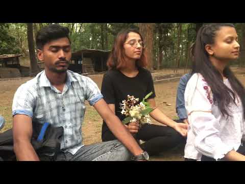 kinesthetic empathy and attentiveness Forest bath  Himalayan.