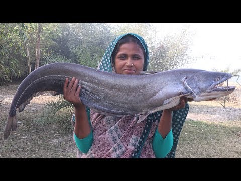 Bengali Boal Fish Kosha Recipe Delicious Fish Vuna Cooking Big Catfish Gravy Curry For Orphan Kids Video