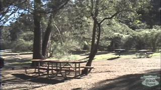Circle X Ranch Group Campground Video