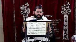 זבחים דף כ' ע''א ¤ הרב נתנאל אברז'ל ¤ בית הכנסת "בית מרדכי" (מוסדות תורת דוד) - התמונה מוצגת ישירות מתוך אתר האינטרנט יוטיוב. זכויות היוצרים בתמונה שייכות ליוצרה. קישור קרדיט למקור התוכן נמצא בתוך דף הסרטון