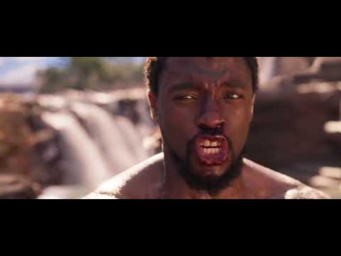 Black Panther defending the throne💥