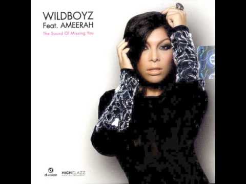 Wildboyz Featuring Ameerah ‎– The Sound Of Missing You